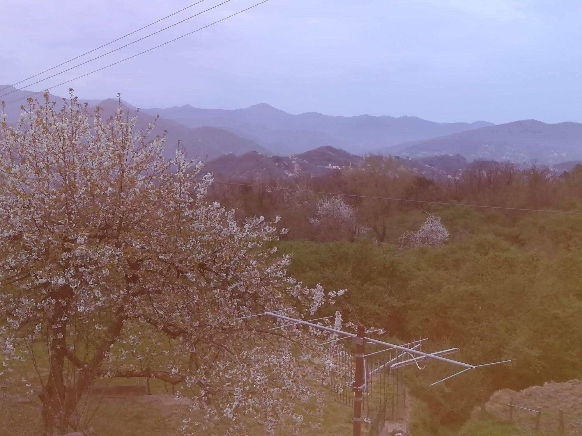Locanda Primo Sole Leivi Bagian luar foto